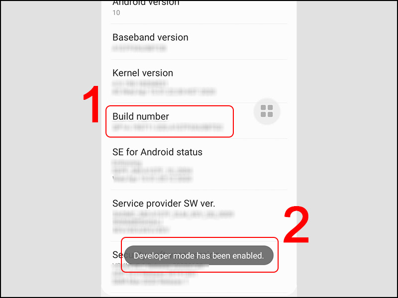 Bật chế độ nhà phát triển